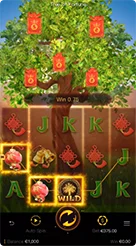 1win · Fortune Tree
